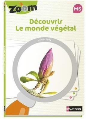 Zoom - monde vegetal ms