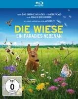 Die Wiese - Ein Paradies nebenan