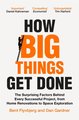 How Big Things Get Done