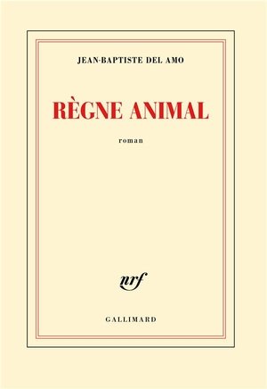 Regne animal