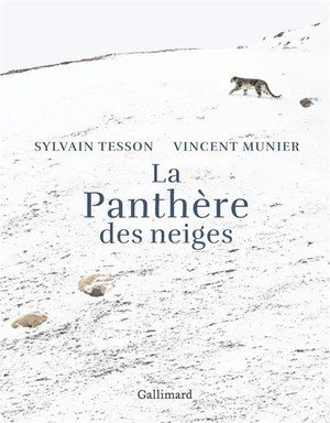 La panthere des neiges - edition illustree