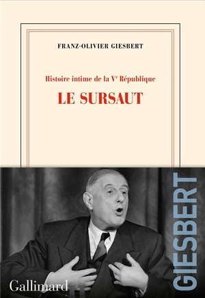 Histoire intime de la V République - T.1 - Le sursaut