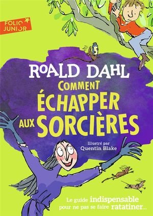 Comment echapper aux sorcieres - le guide indispensable pour ne pas se faire ratatiner...