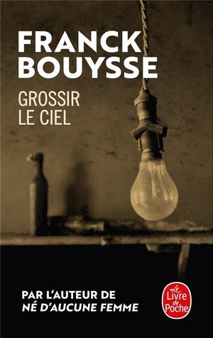 Grossir le ciel - selection prix sncf du polar 2017