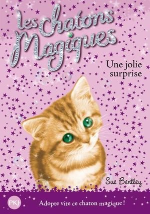 Les chatons magiques - numero 01 une jolie surprise - vol01