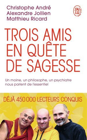 Trois amis en quete de sagesse - un moine, un philosophe, un psychiatre nous parlent de l'essentiel