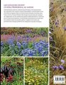 Guide de la couleur au jardin