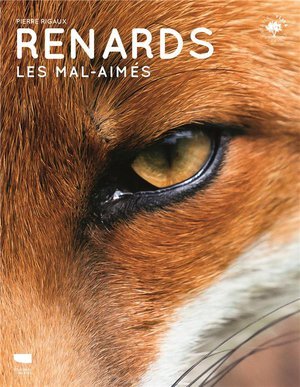 Renards - Les mal-aimés