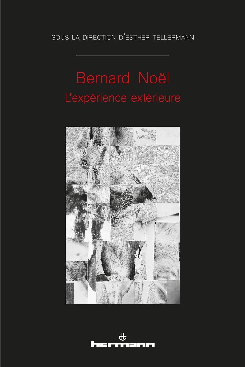 Bernard noel - l'experience exterieure