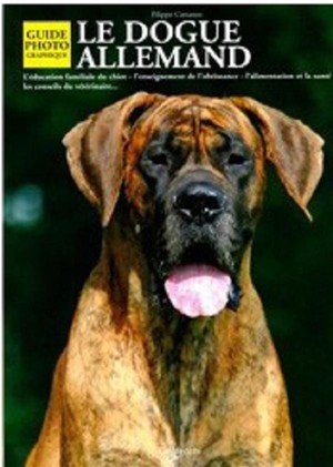 Dogue allemand