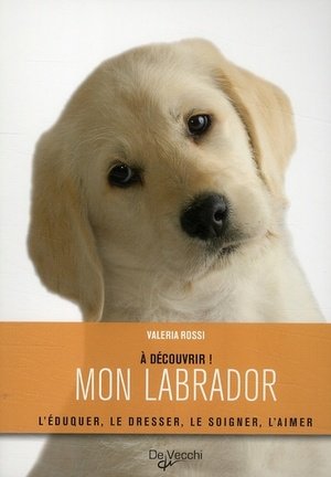 Mon labrador