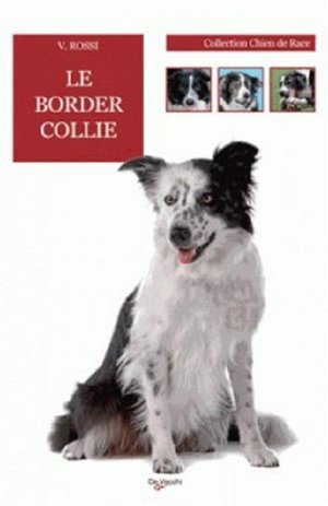 Border collie