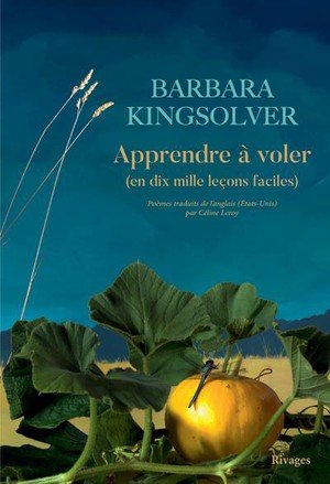 Apprendre a voler - (en 10000 lecons faciles)