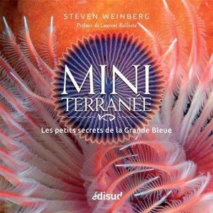 Miniterranee - les petits secrets de la grande bleue