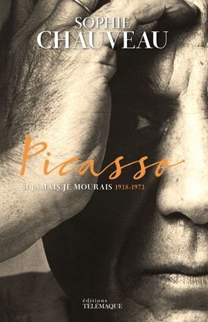 Picasso - tome 2 - vol02