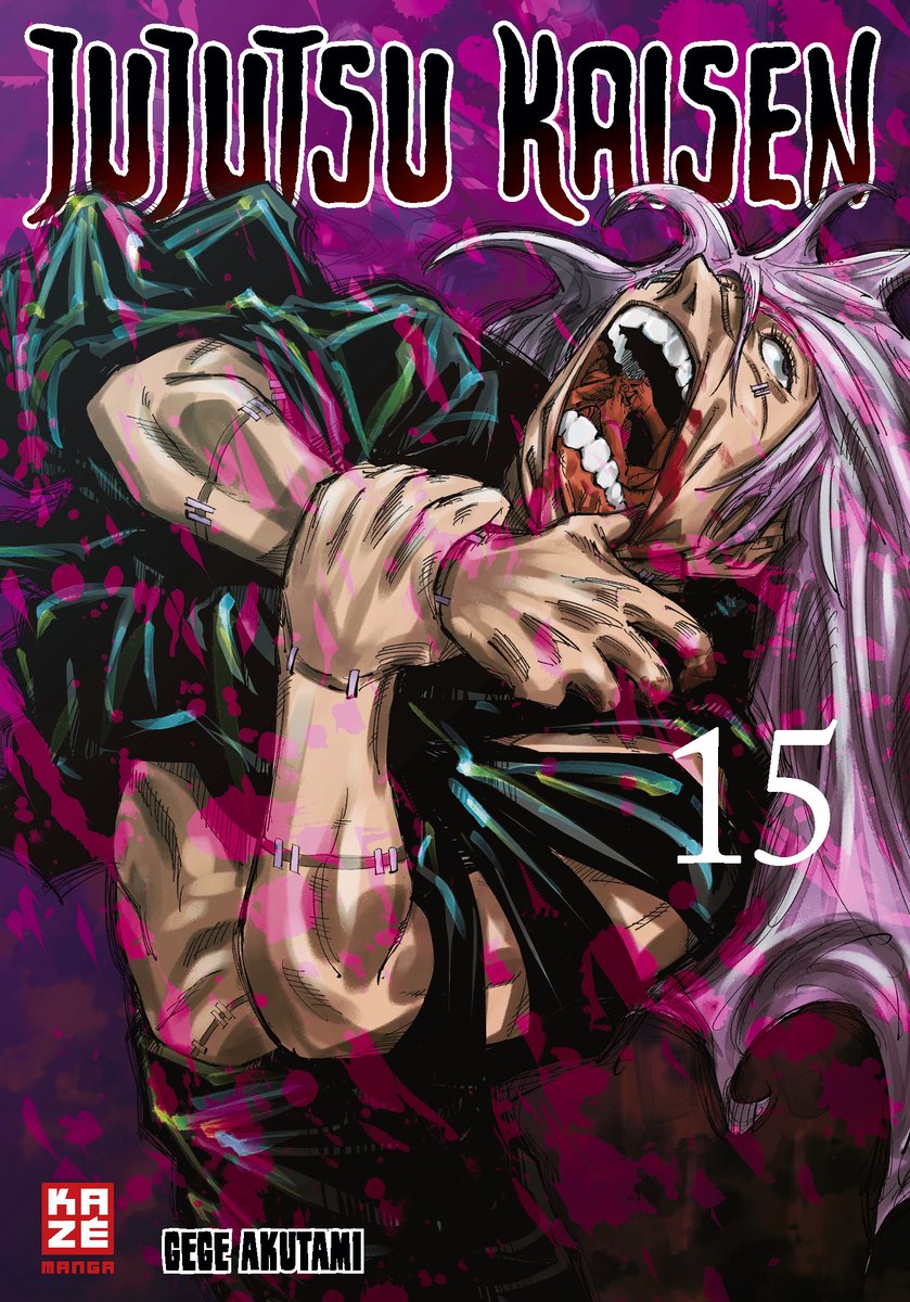 Jujutsu Kaisen 15