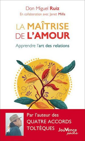 La maitrise de l'amour - apprendre l'art des relations