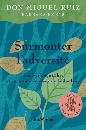 Surmonter l'adversite - trouver l'equilibre et la beaute au coeur de la douleur