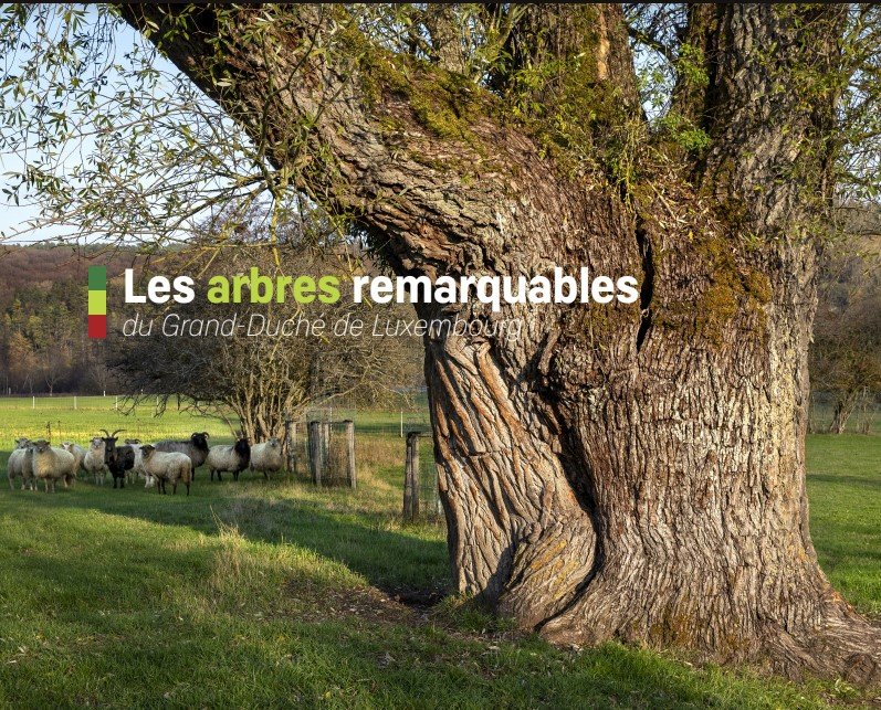 Les arbres remarquables du Grand-Duché de Luxembourg