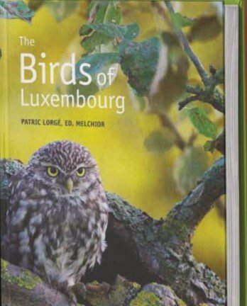 Birds of Luxembourg (2020)