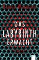 Das Labyrinth erwacht