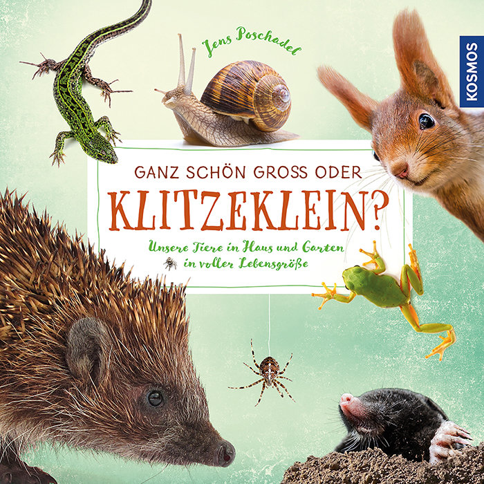 Ganz schön groß oder klitzeklein?