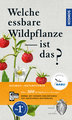 Welche essbare Wildpflanze ist das?