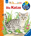 Die Katze