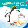 Knack, so schlüpft der Pinguin