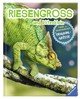 RIESENGROSS und klitzeklein: Tiere des Regenwaldes in Originalgröße