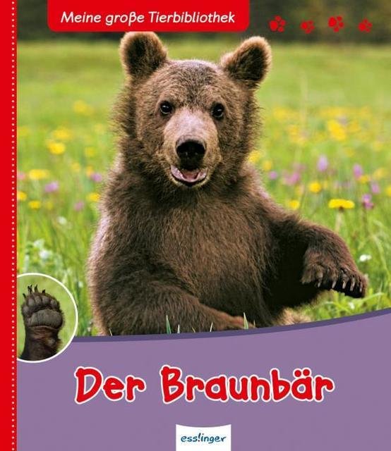 Meine große Tierbibliothek: Der Braunbär