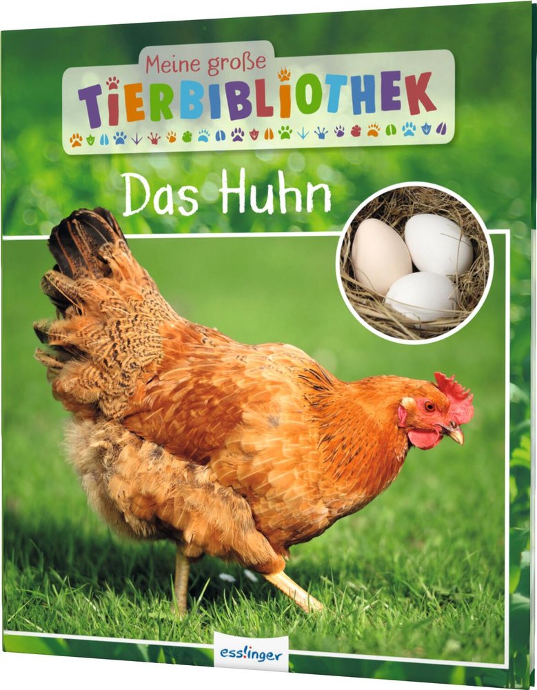 Das Huhn