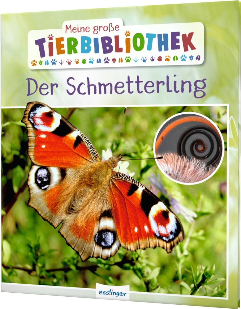 Der Schmetterling