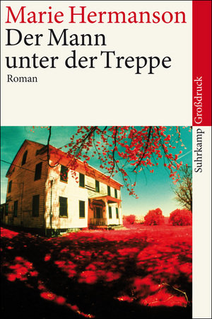 Der Mann unter der Treppe