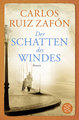 Der Schatten des Windes