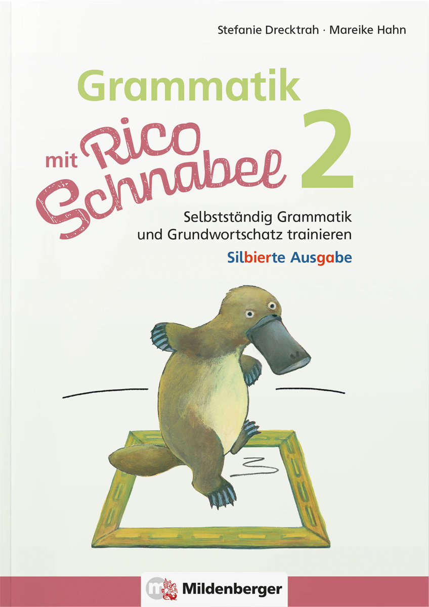 Grammatik mit Rico Schnabel, Klasse 2 - silbierte Ausgabe