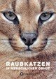 Raubkatzen in menschlicher Obhut