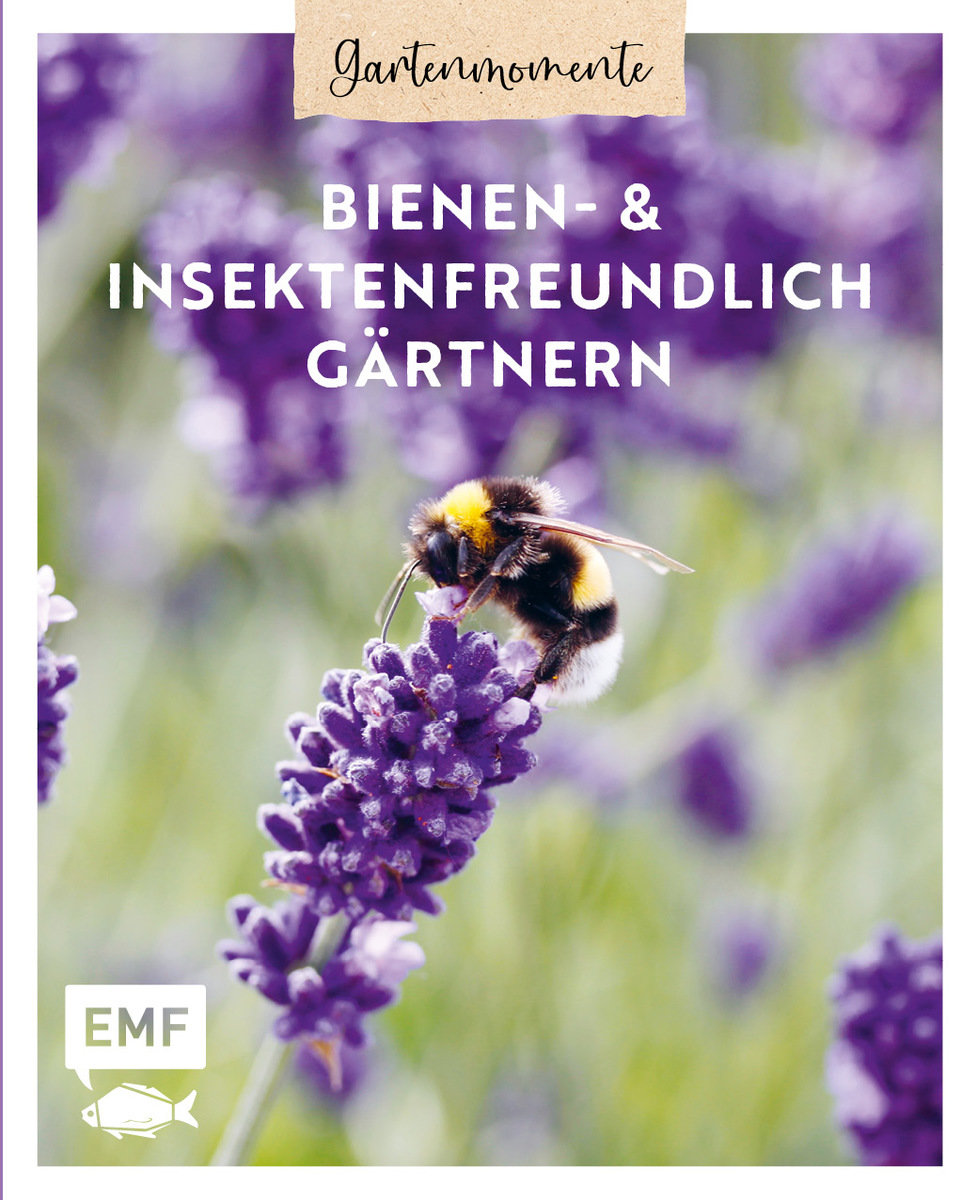 Gartenmomente: Bienenfreundlich gärtnern