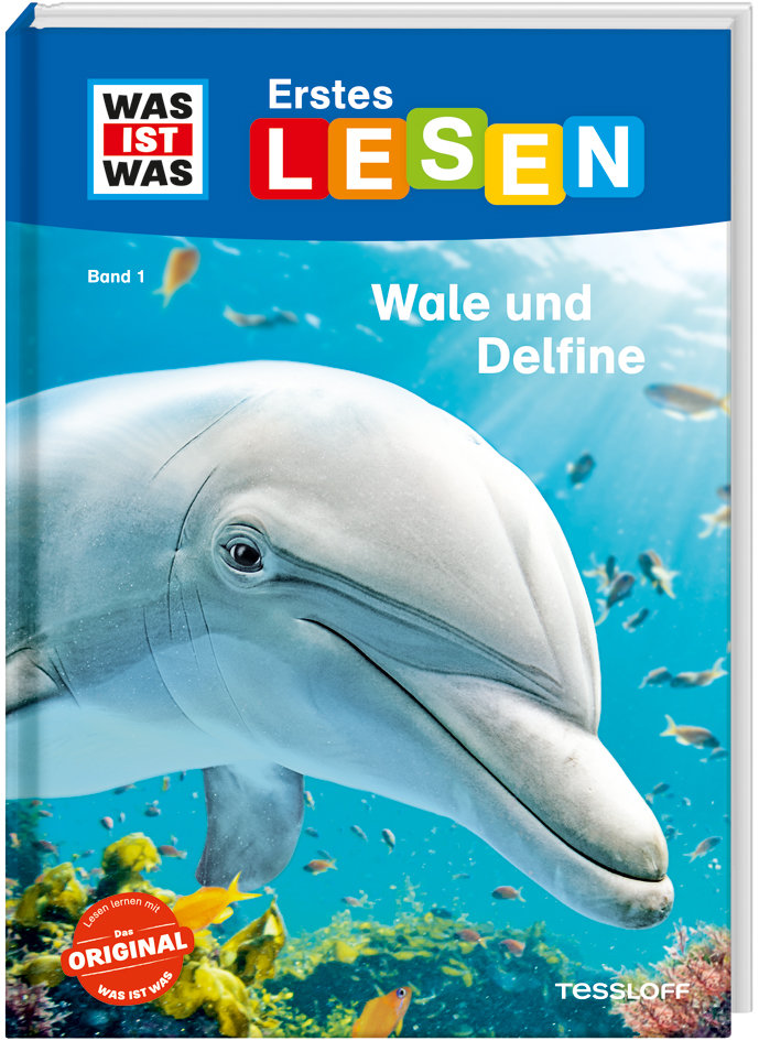 Wale und Delfine