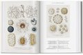 Ernst Haeckel. Kunst und Wissenschaft. 40th Anniversary Edition