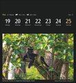 Magic Nature Postkartenkalender Kalender 2025