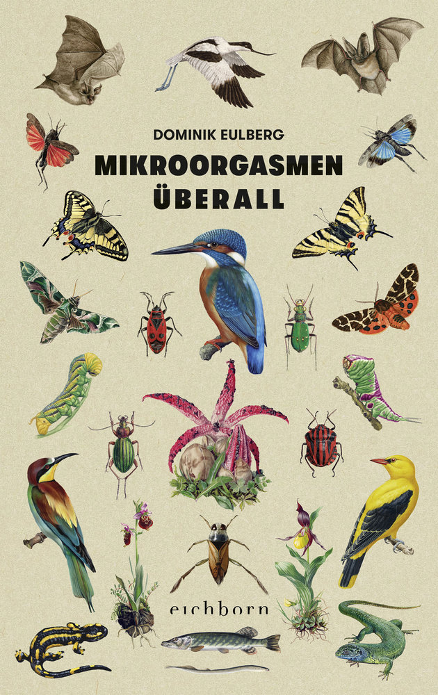 Mikroorgasmen überall