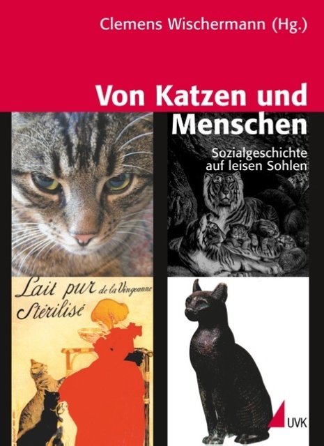 Von Katzen und Menschen