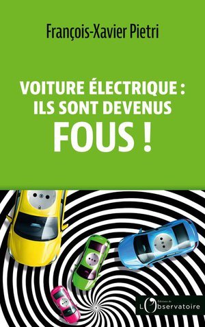 Voiture électrique : ils sont devenus fous !