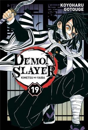 demon slayer ; coffret ; t.23 et fanbook n°2